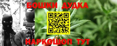 соль ск Лесосибирск
