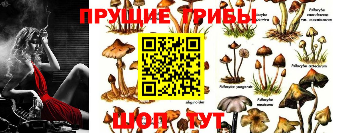 Псилоцибиновые грибы ЛСД Углич